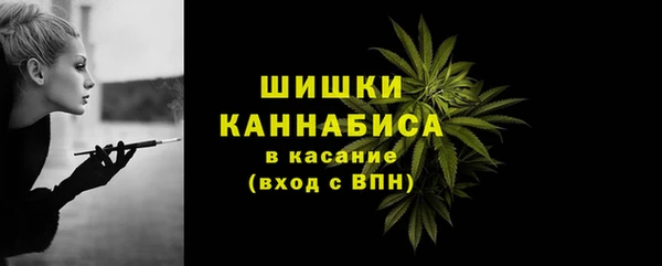 хмурый Туринск
