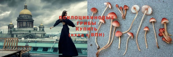 ALPHA-PVP Горняк