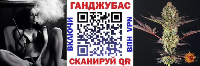 дарнет шоп  Онега  Конопля сатива 